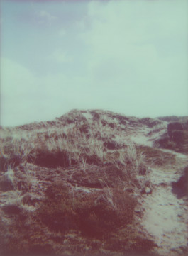 claudia eschborn. books and photographs