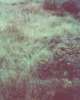 claudia eschborn. books and photographs