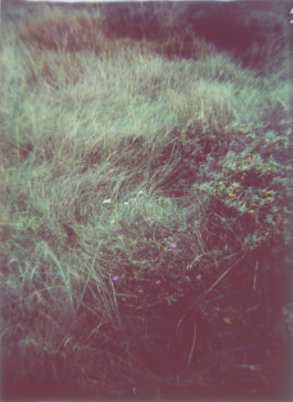 claudia eschborn. books and photographs