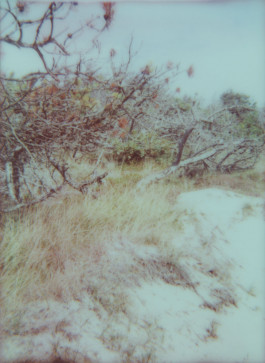 claudia eschborn. books and photographs