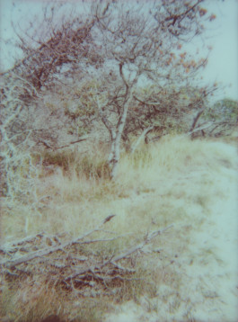 claudia eschborn. books and photographs