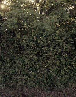 claudia eschborn. books and photographs