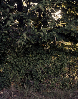 claudia eschborn. books and photographs