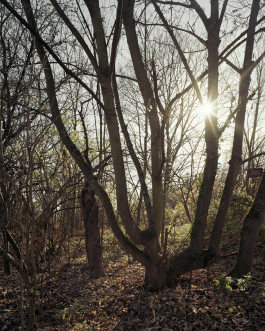 claudia eschborn. books and photographs