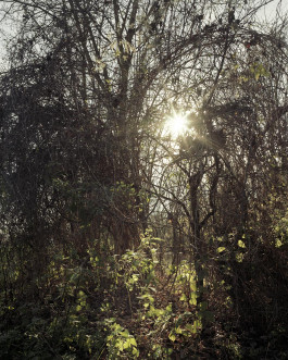 claudia eschborn. books and photographs