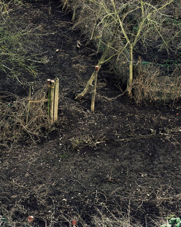 claudia eschborn. books and photographs