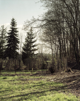 claudia eschborn. books and photographs