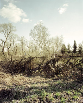 claudia eschborn. books and photographs