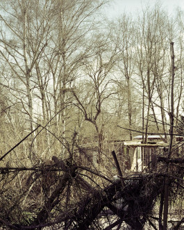 claudia eschborn. books and photographs