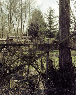 claudia eschborn. books and photographs