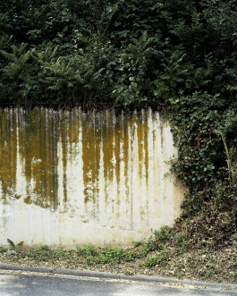 claudia eschborn. books and photographs