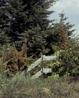 claudia eschborn. books and photographs