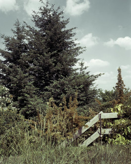 claudia eschborn. books and photographs