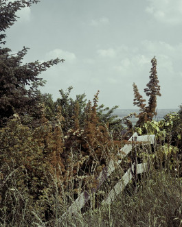 claudia eschborn. books and photographs