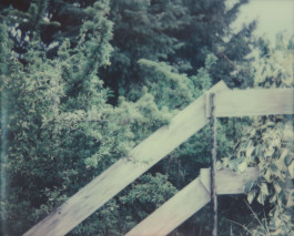 claudia eschborn. books and photographs