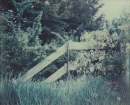 claudia eschborn. books and photographs