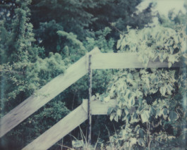 claudia eschborn. books and photographs