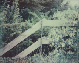 claudia eschborn. books and photographs