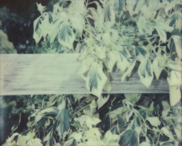 claudia eschborn. books and photographs