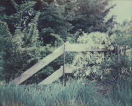 claudia eschborn. books and photographs