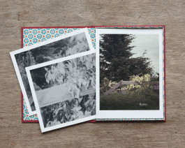 claudia eschborn. books and photographs