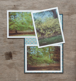 claudia eschborn. books and photographs