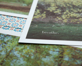 claudia eschborn. books and photographs