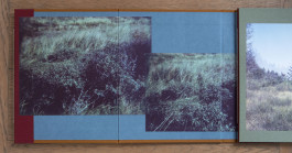 claudia eschborn. books and photographs