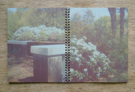 claudia eschborn. books and photographs