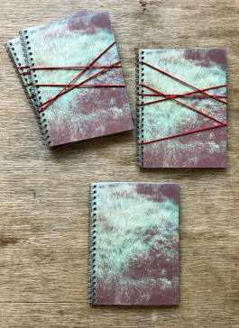 claudia eschborn. books and photographs