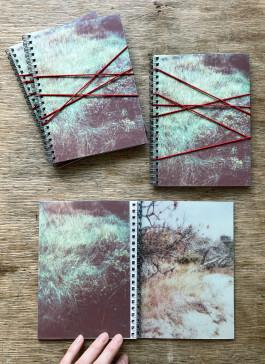 claudia eschborn. books and photographs