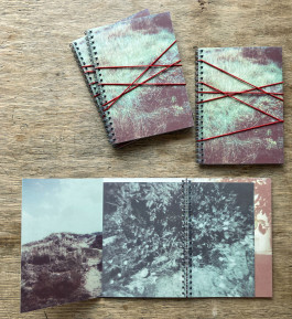 claudia eschborn. books and photographs