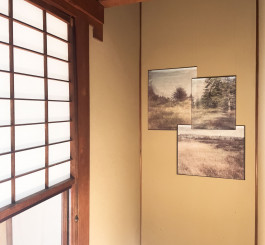 claudia eschborn. books and photographs