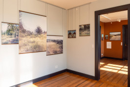 claudia eschborn. books and photographs