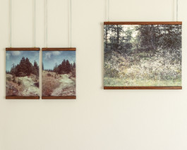 claudia eschborn. books and photographs