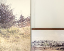 claudia eschborn. books and photographs