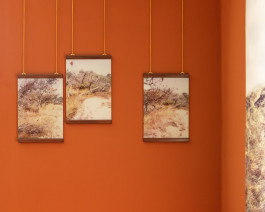 claudia eschborn. books and photographs