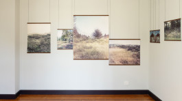 claudia eschborn. books and photographs