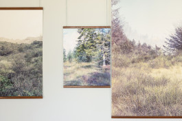 claudia eschborn. books and photographs