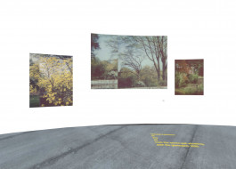 claudia eschborn. books and photographs